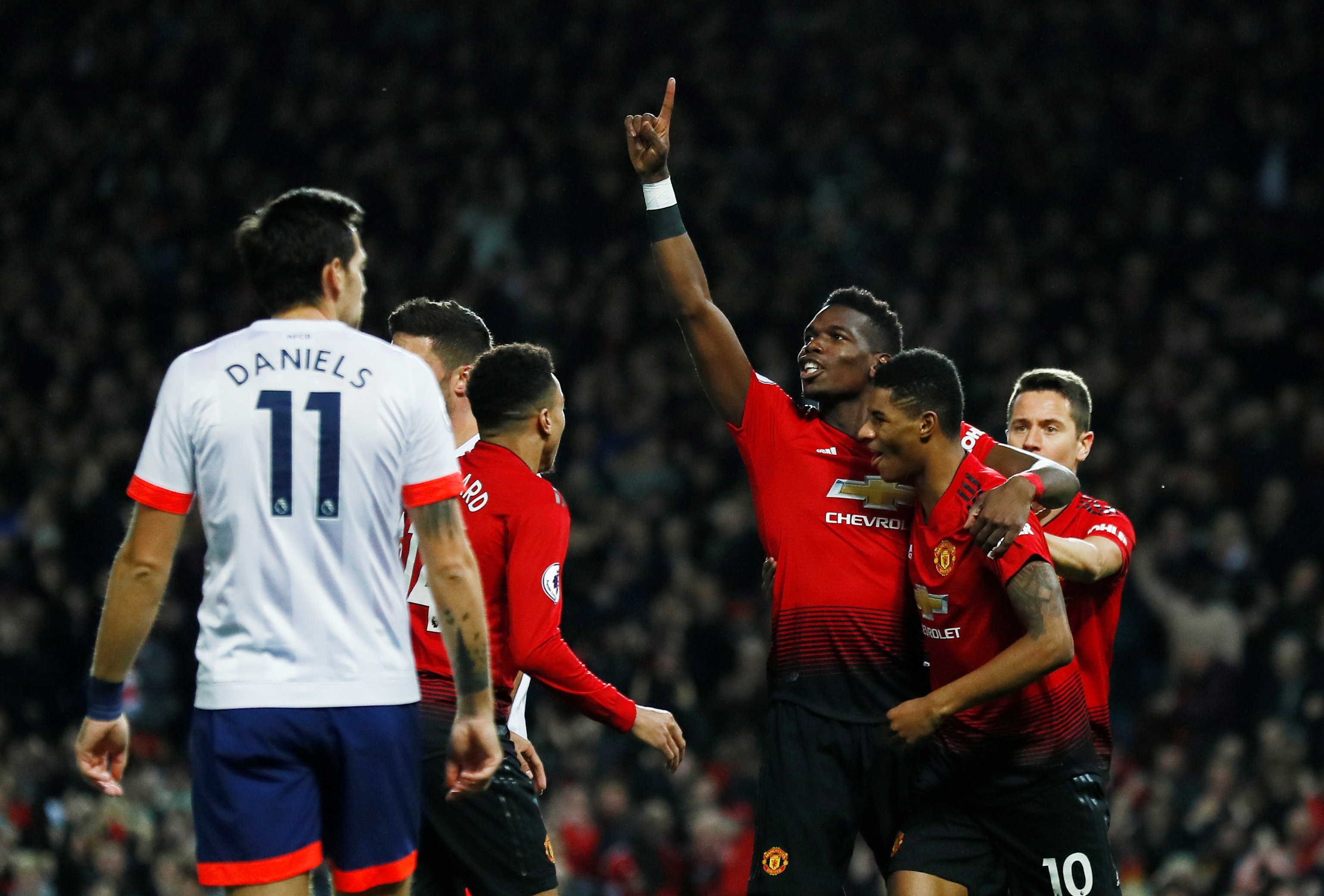 这一概念的 这一概念的